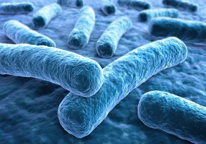 PRÉGYWAB®, La première plaque de plâtre 10 fois plus résistante à l'eau devient antimicrobienne !